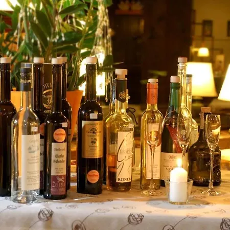 Alt Moesern Apartman